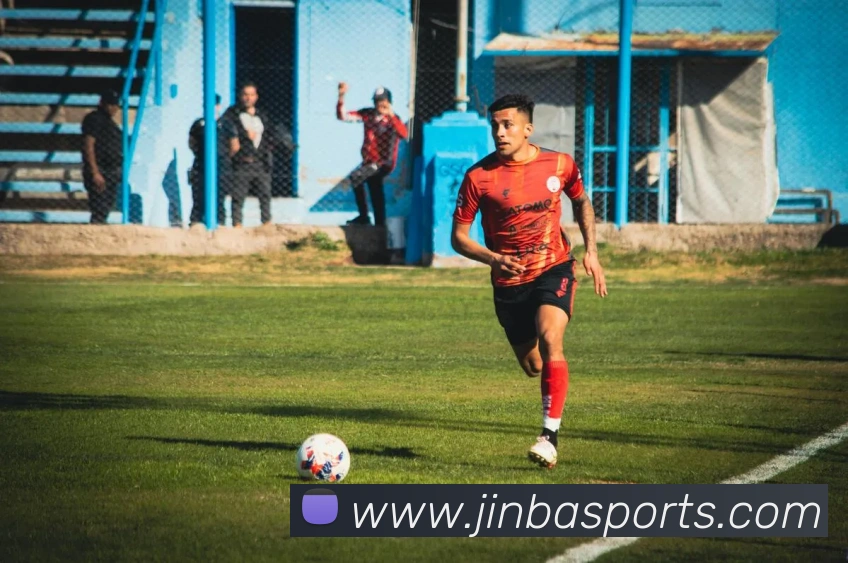 体育下注平台生态图